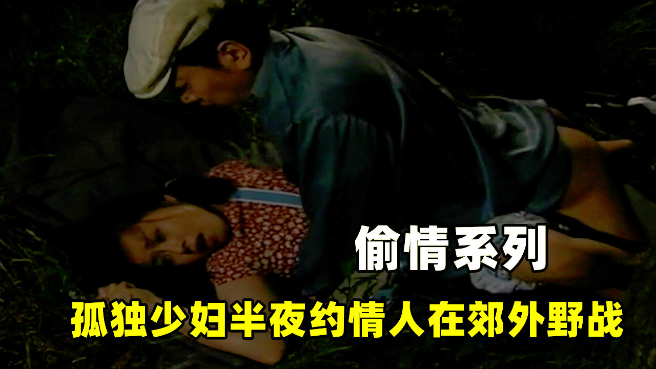 孤独少妇半夜约情人在郊外野战-精品力荐