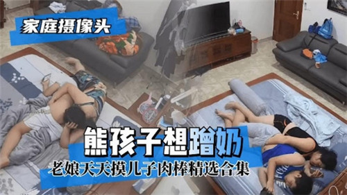 MRV-341 家庭摄像头熊孩子想蹭奶