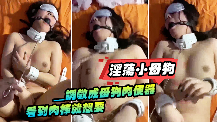 【SM调教】淫荡小母狗_调教成母狗肉便器看到肉棒就想要