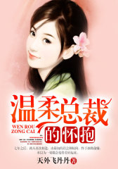 温柔总裁的怀抱1