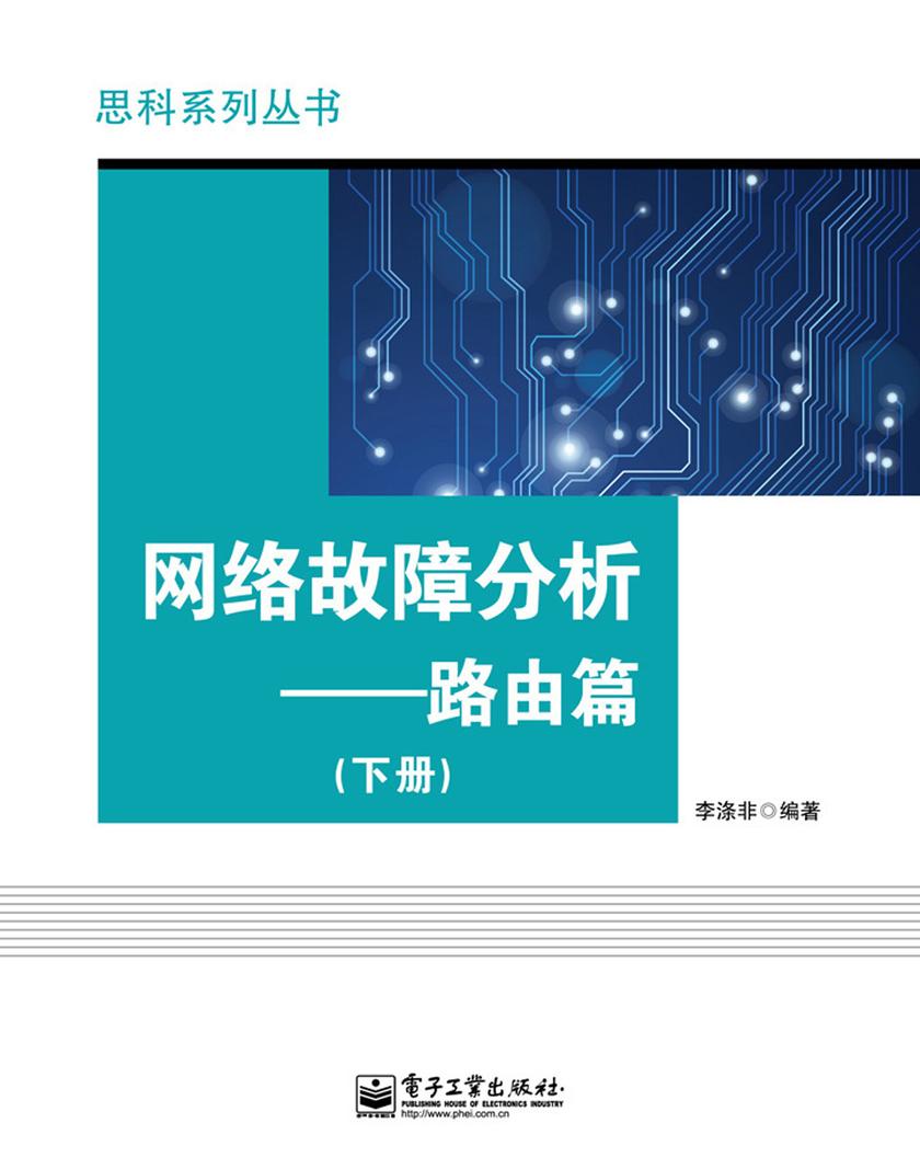 网络故障分析:路由篇(下册)