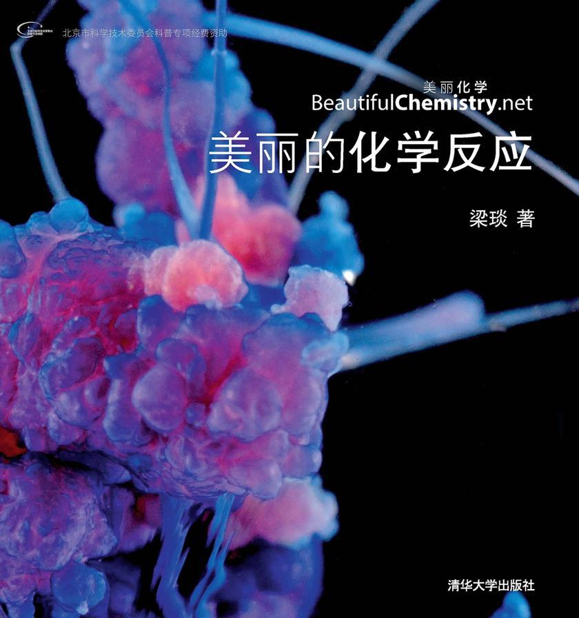美丽的化学反应