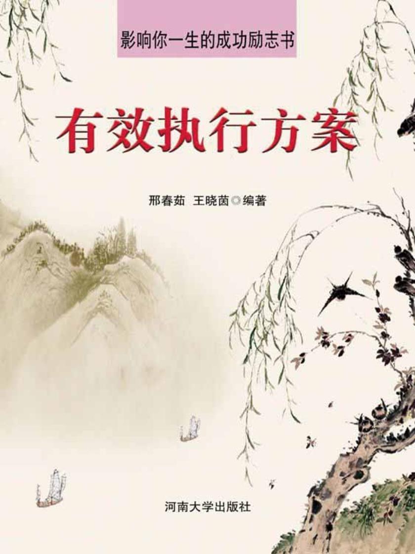 有效执行方案