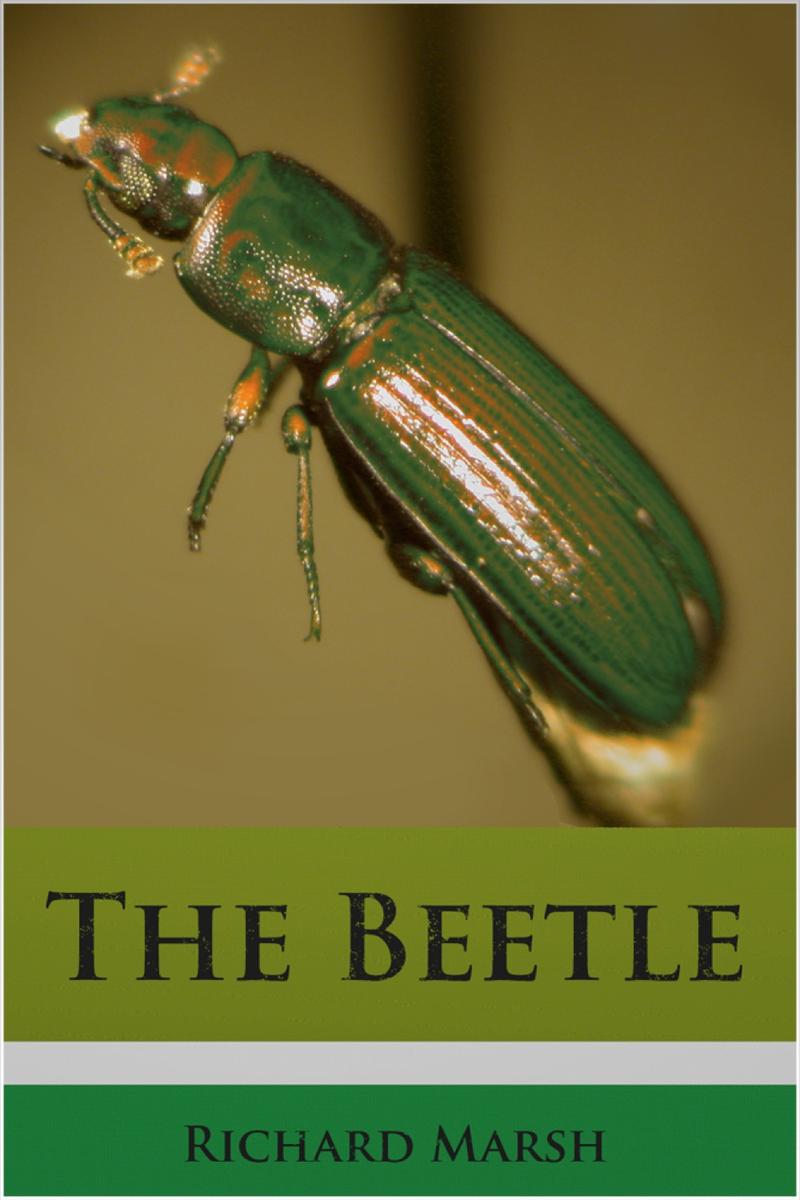 Beetle