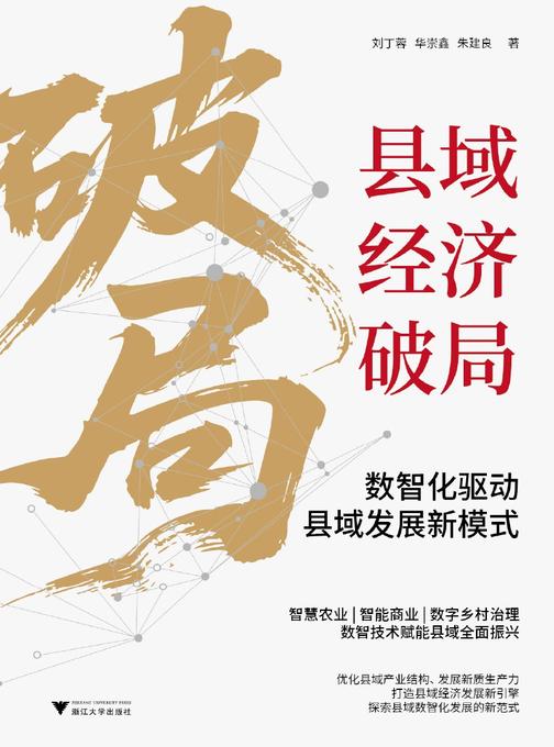 县域经济破局:数智化驱动县域发展新模式