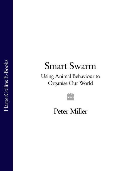 Smart Swarm: Using Animal Behaviour to Organise Our World