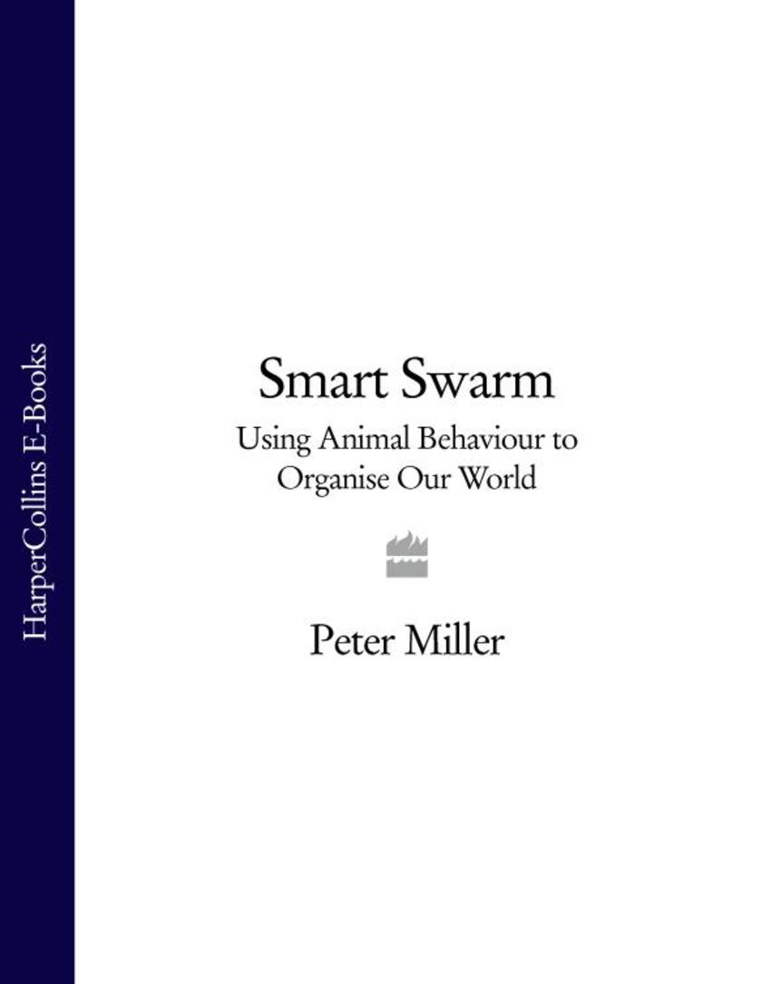 Smart Swarm: Using Animal Behaviour to Organise Our World