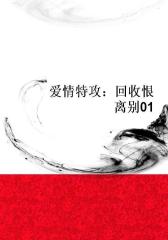 爱情特攻：回收恨离别01