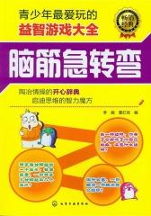 青少年最爱玩的益智游戏大全.脑筋急转弯