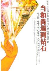 当和尚遇到钻石(试读本)