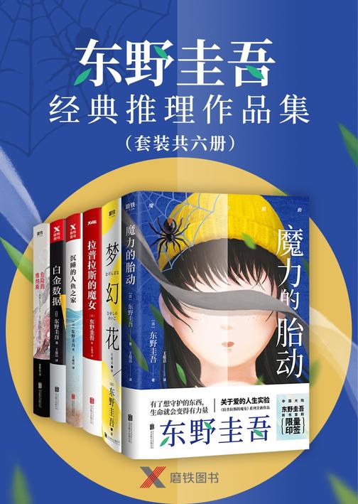 东野圭吾经典推理作品集(套装共六册)