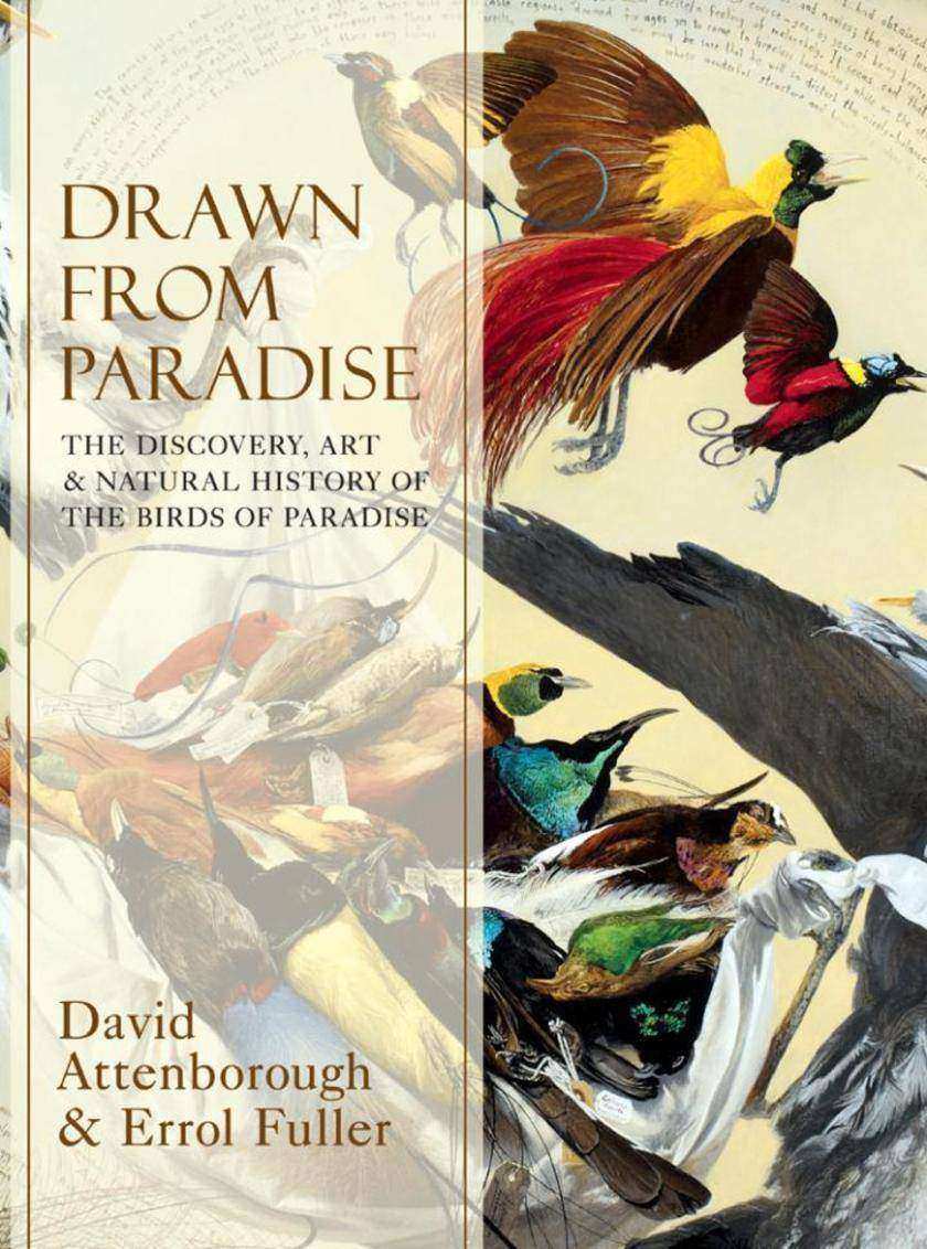 Drawn From Paradise：The Discovery, Art and Natural History of the Birds of Parad