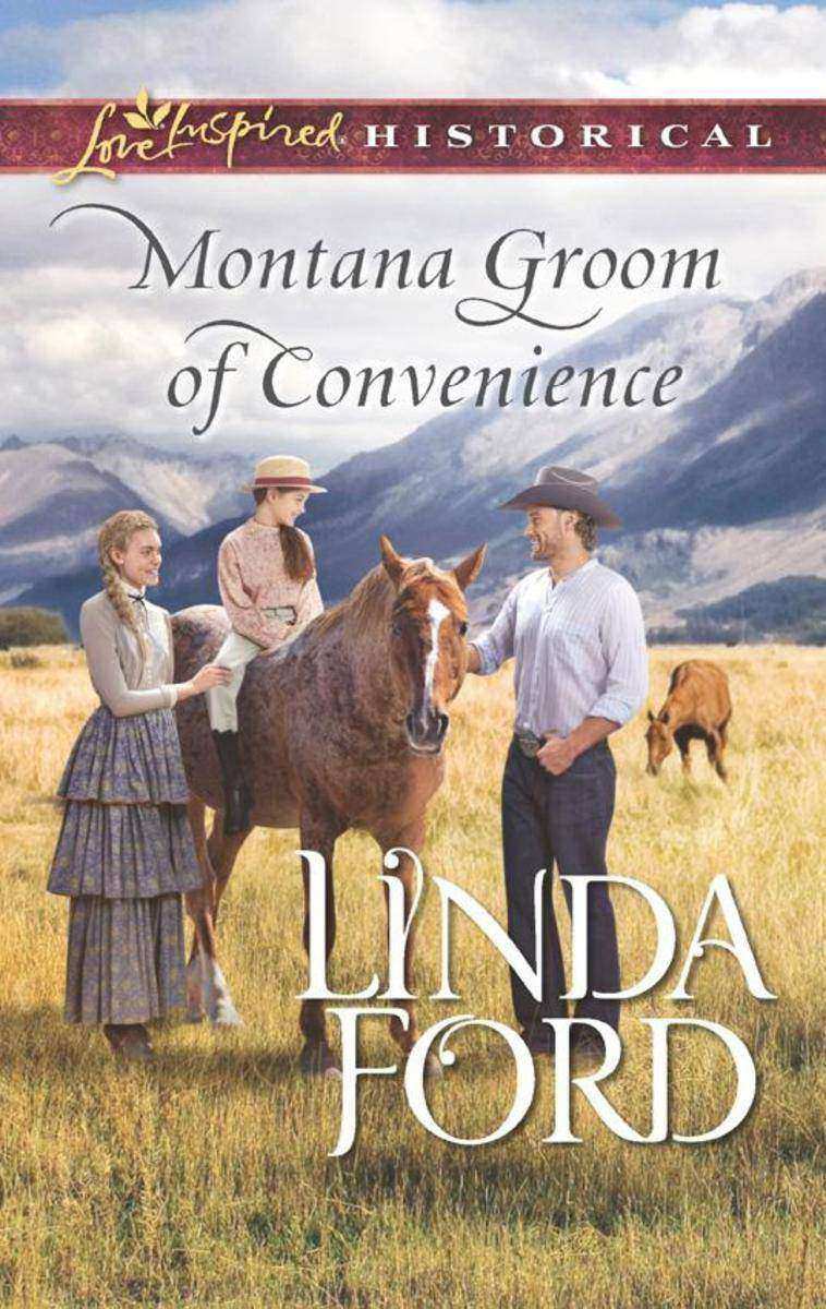 Montana Groom Of Convenience (Mills & Boon Love Inspired Historical) (Big Sky Co