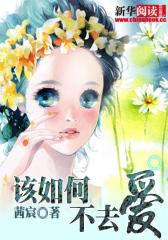 该如何不去爱