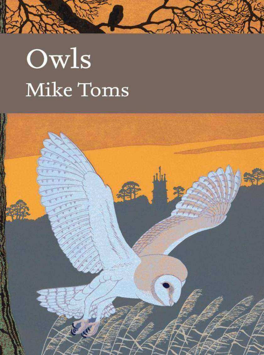 Owls (Collins New Naturalist Library, Book 125)