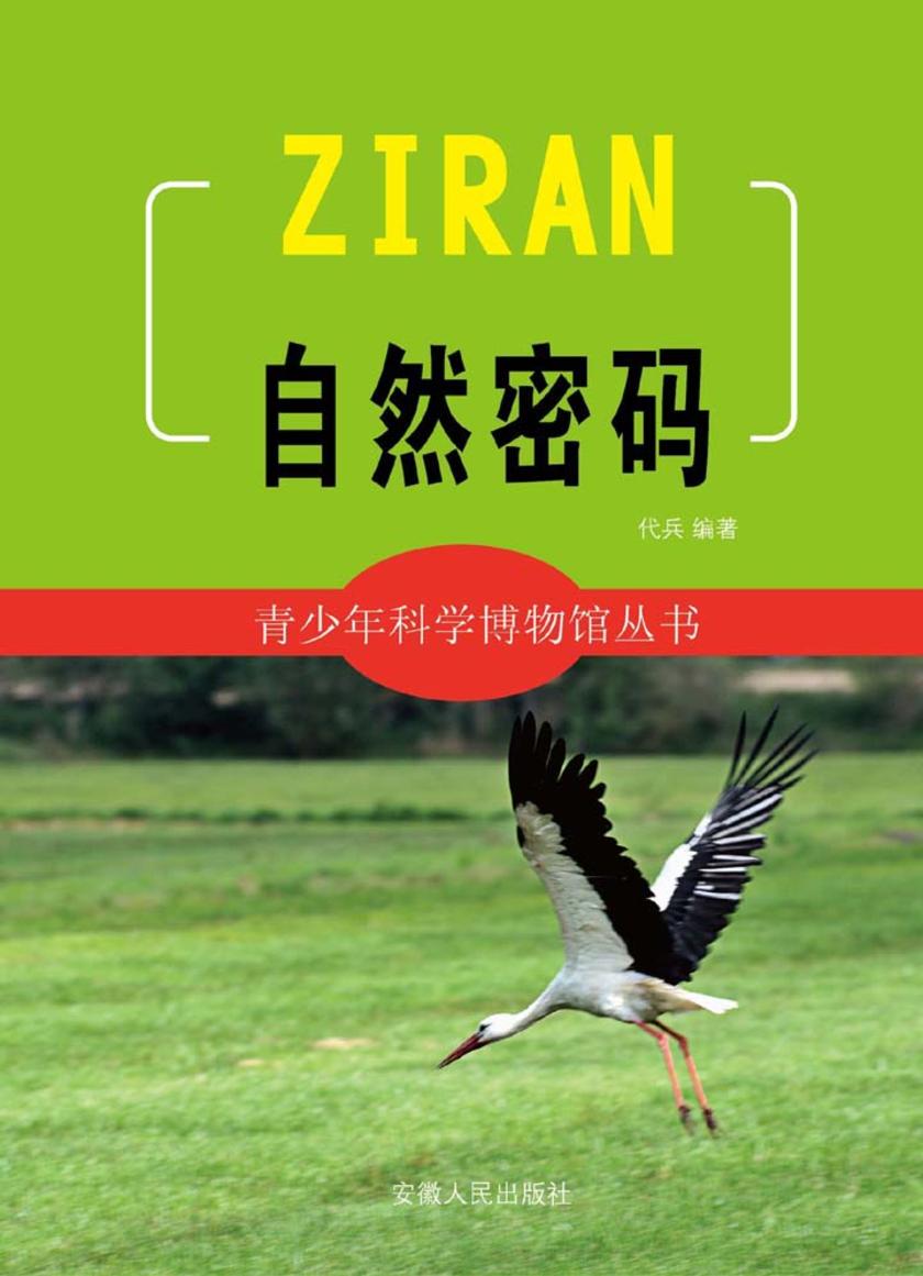 自然密码