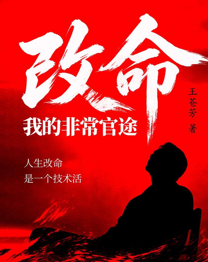 改命:我的非常官途