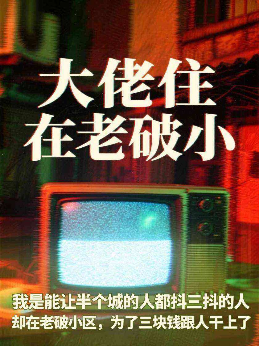 大佬住在老破小