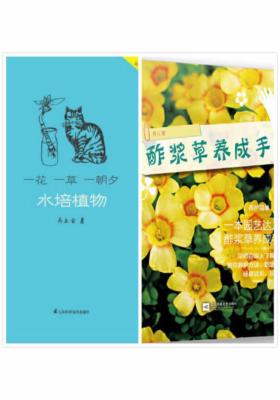玩转趣味小植物——水培、酢浆草