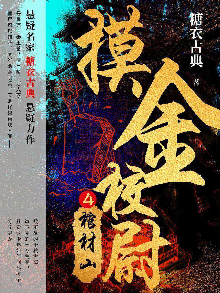 摸金校尉4:棺材山