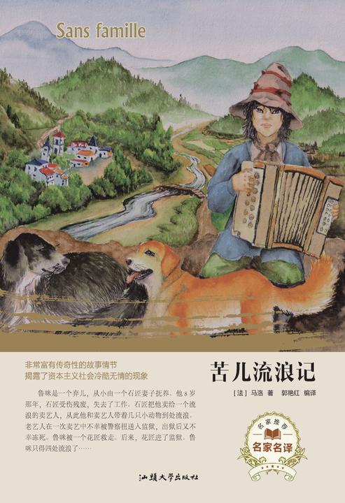 苦儿流浪记
