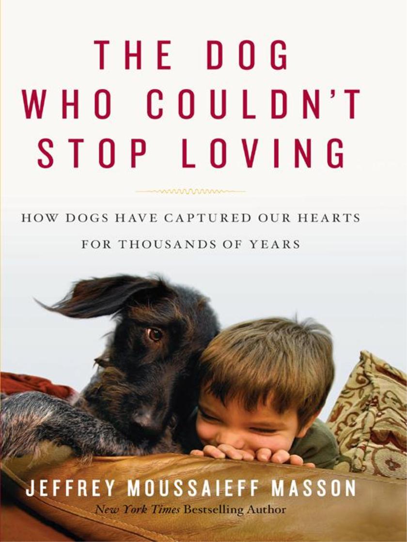 The Dog Who Couldn't Stop Loving