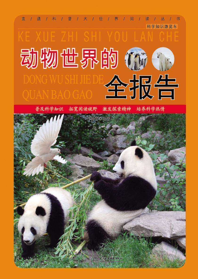 动物世界的全报告