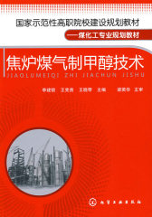 焦炉煤气制甲醇技术(李建锁)(试读本)