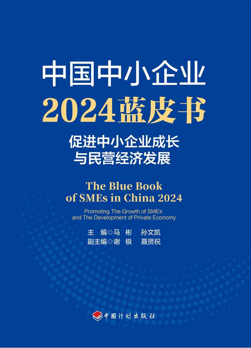 中国中小企业2024蓝皮书:促进中小企业成长与民营经济发展