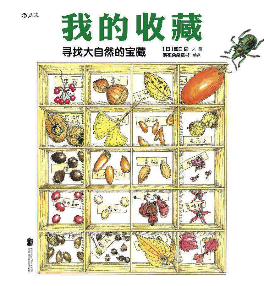 我的收藏:寻找大自然的宝藏