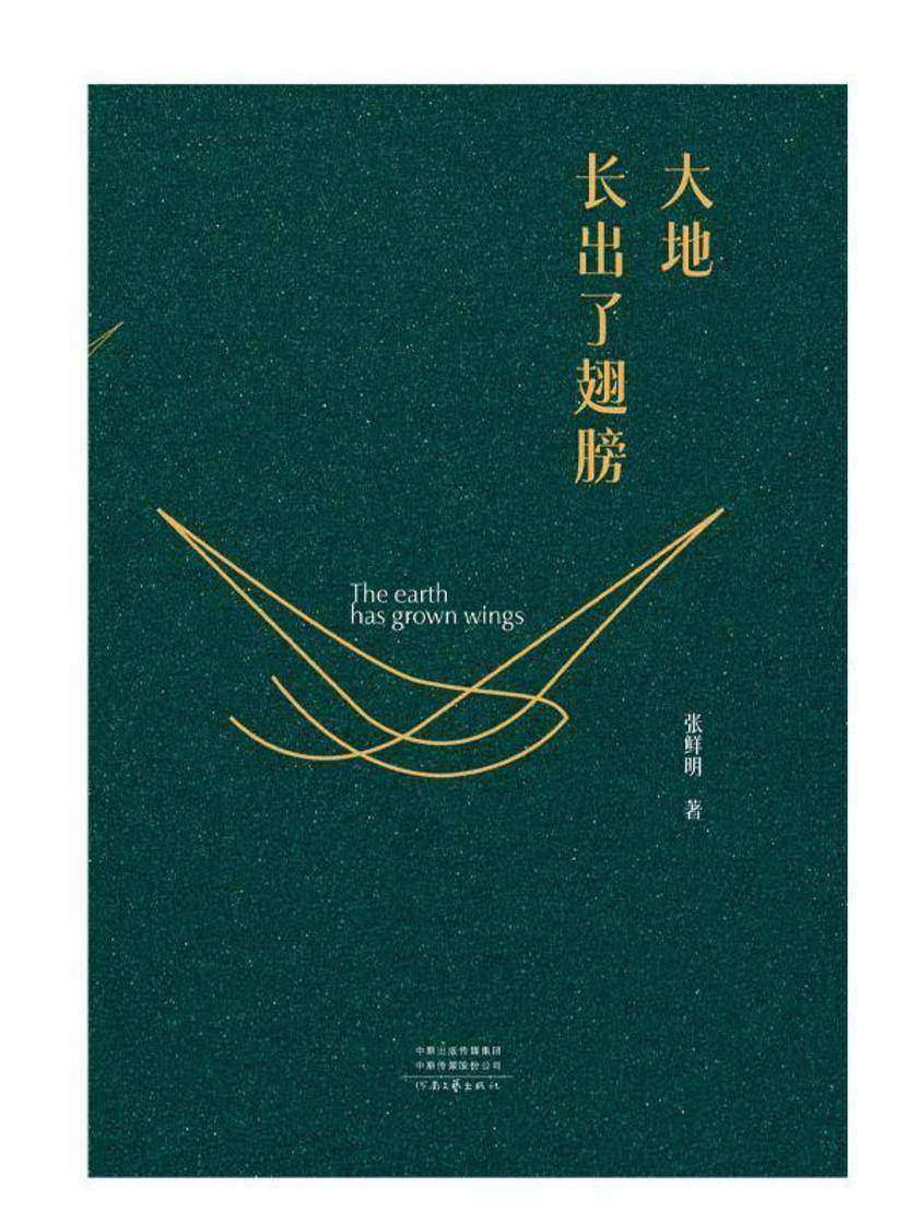 大地长出了翅膀