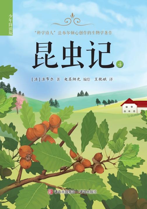 昆虫记(少年简读版)四册