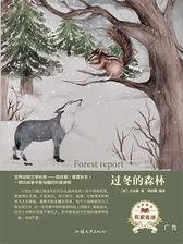 过冬的森林
