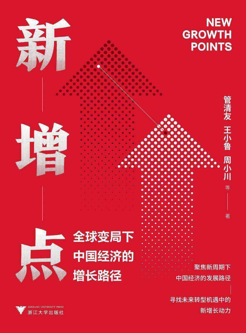 新增点 : 全球变局下中国经济的增长路径