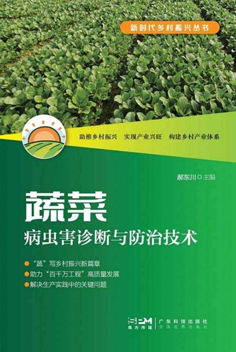 蔬菜病虫害诊断与防治技术(新时代乡村振兴丛书)