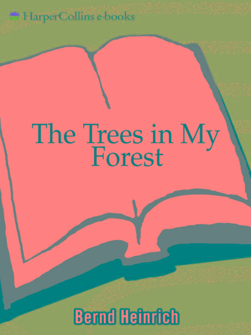 The Trees in My Forest