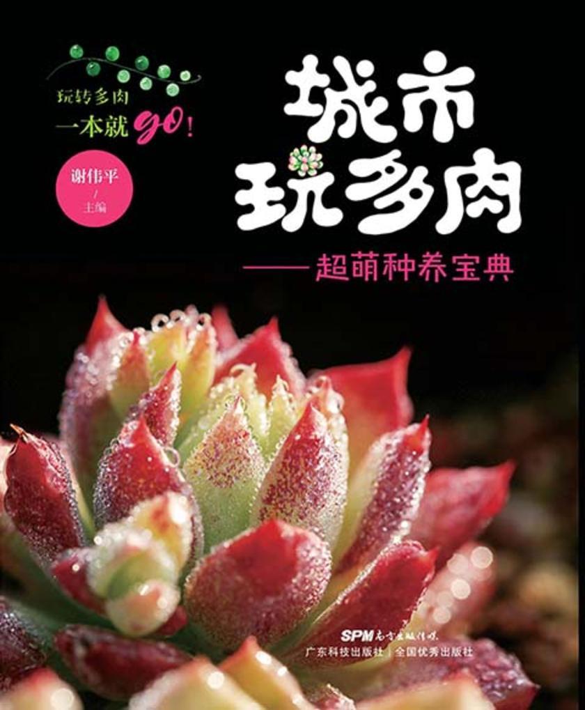 城市玩多肉:超萌种养宝典