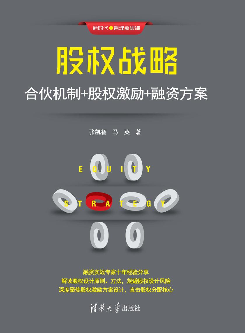 股权战略:合伙机制+股权激励+融资方案