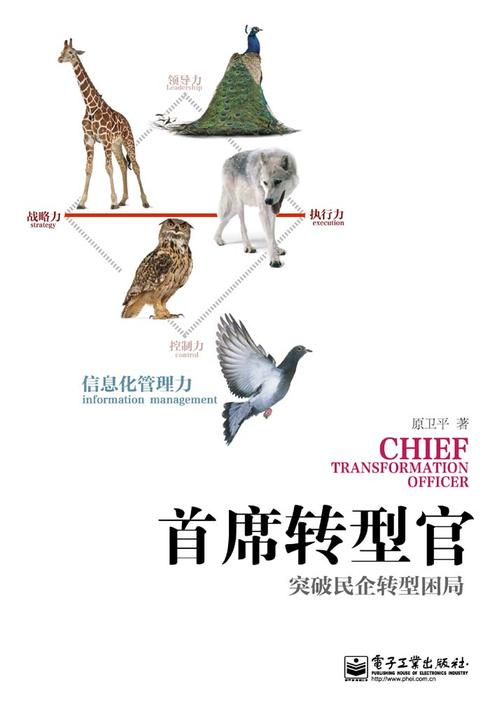 首席转型官——突破民企转型困局