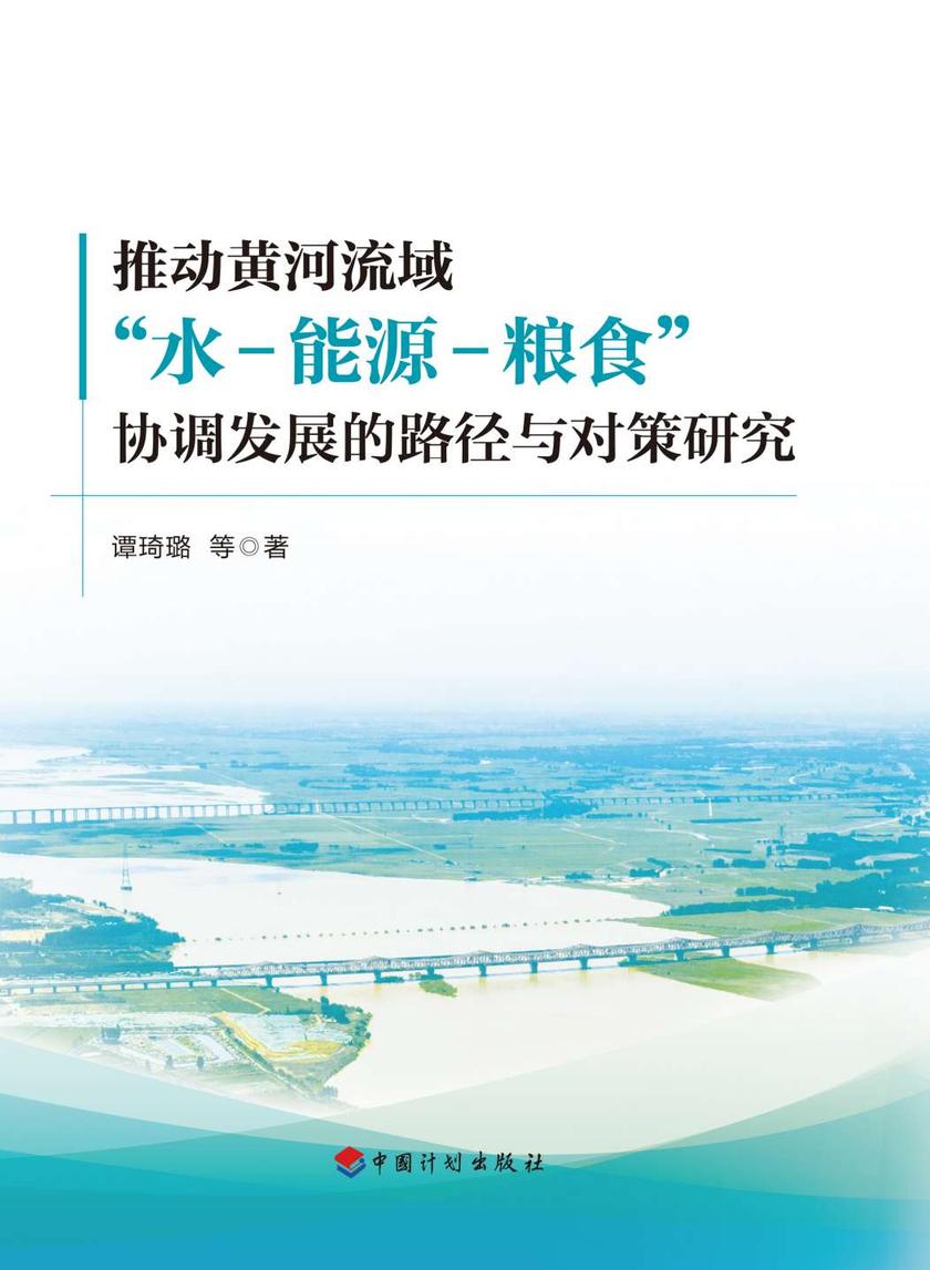 推动黄河流域“水-能源-粮食”协调发展的路径与对策研究