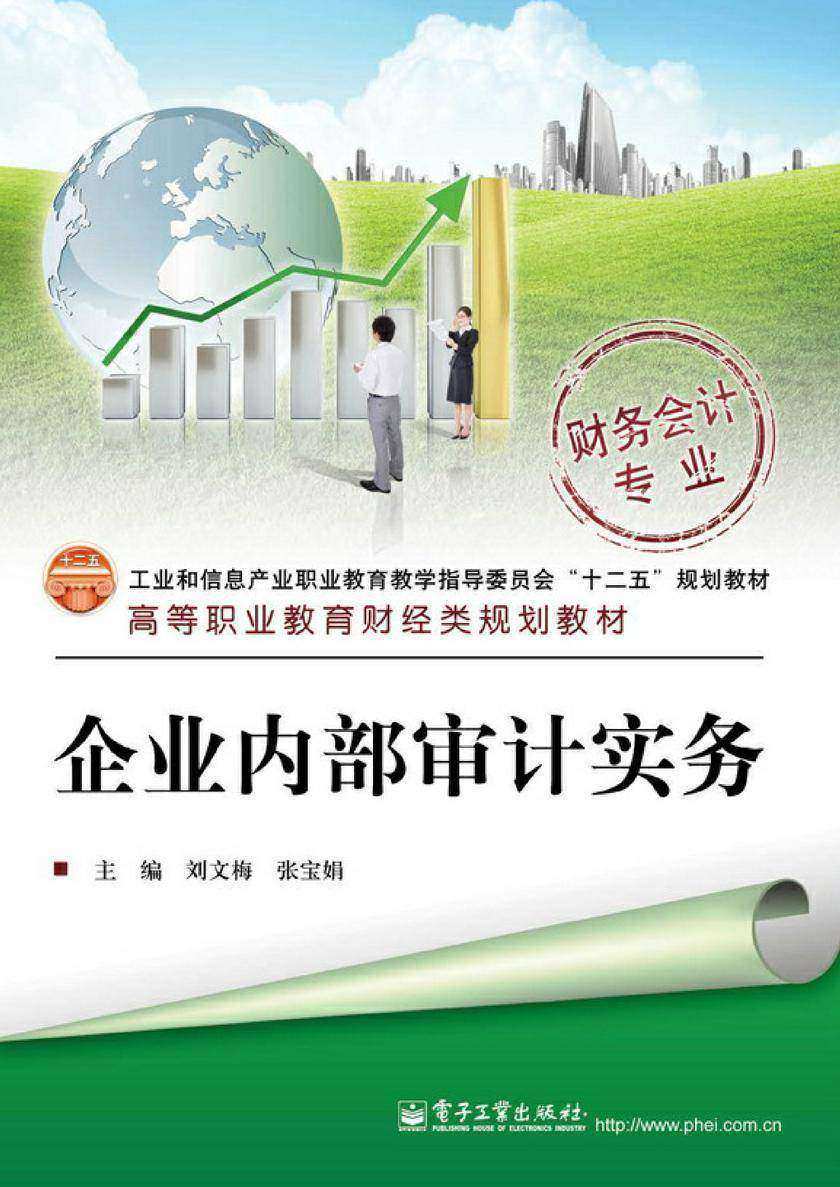 企业内部审计实务