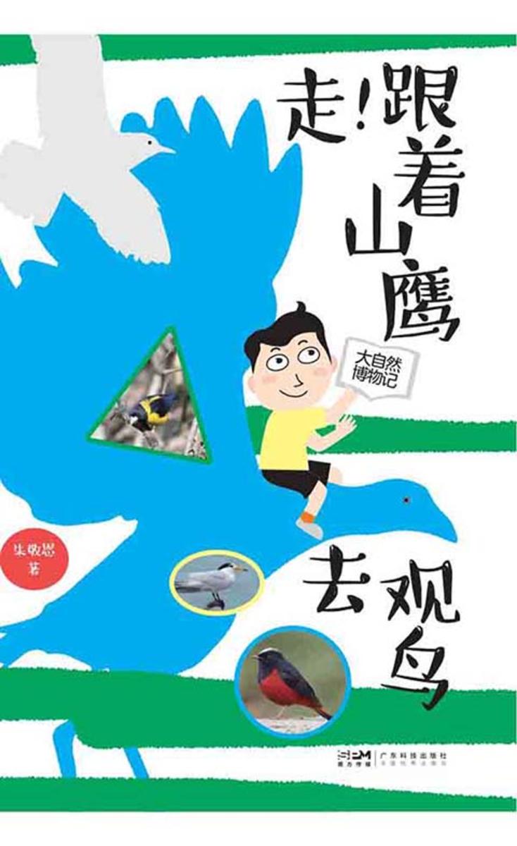 走!跟着山鹰去观鸟