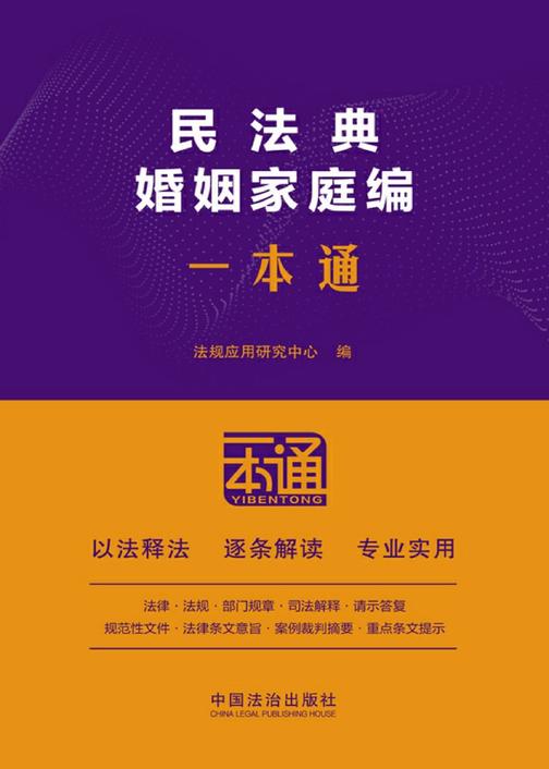 民法典婚姻家庭编一本通(第10版)