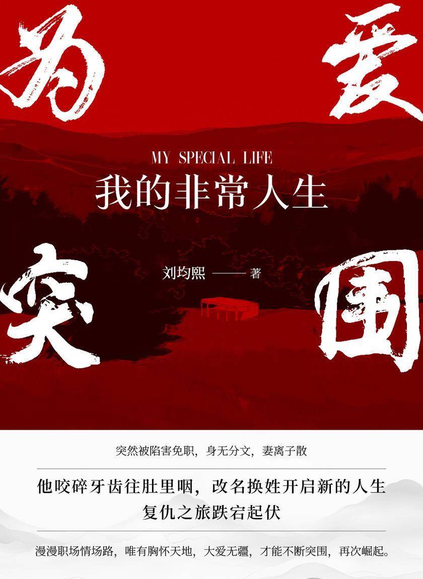 我的非常人生:为爱突围