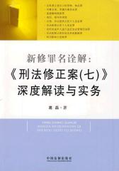 新修罪名诠解：《刑法修正案（七）》深度解读与实务(试读本)