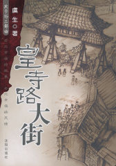 皇寺路大街(试读本)