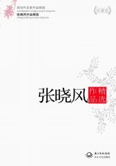 现当代名家作品精选:张晓风作品精选(珍藏版)(试读本)