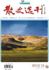 散文选刊·下半月 月刊 2012年12期(电子杂志)(仅适用PC阅读)