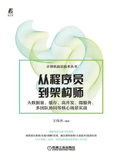 从程序员到架构师:大数据量、缓存、高并发、微服务、多团队协同等核心场景实战