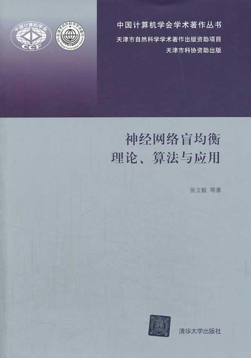 神经网络盲均衡理论、算法与应用